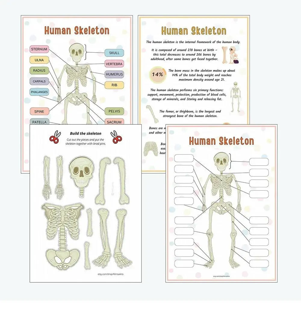 Children's Human Anatomy Busy Book - Explore the Marvels of Body Medical Enlightenment Educational Activity