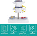 1:1 Life size Anatomical Human Lumbar Disc Herniation Demonstration Spine Anatomy Model School Training Supplies